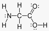 glycine-structure-ib-hl-mcq-14-2-e-q5