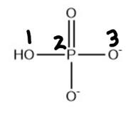 -6Ym9orR_hydrogen-phosphate-structure-ib-hl-mcq-14-1-h-q4