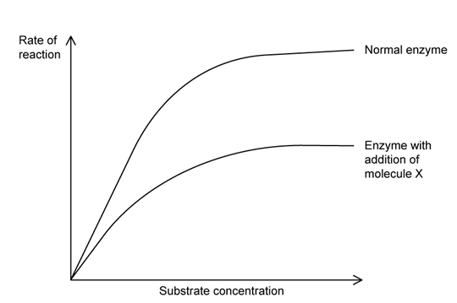 rate-of-reaction-with-the-addition-of-a-non-competitive-inhibitor-sq