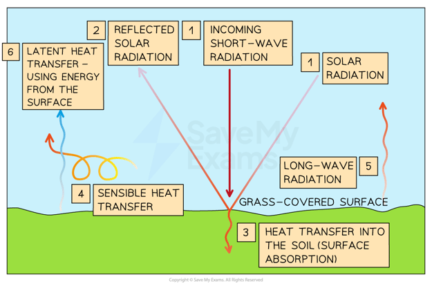 daytime-energy-budget