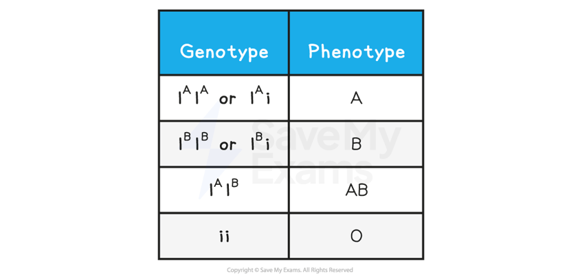 blood-group-inheritance-1